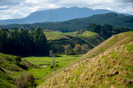 Landscape of green hills and mountains in the south of New Zealandの写真素材