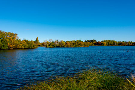 Autumn landscape with lake, trees and blue sky in the backgroundの写真素材