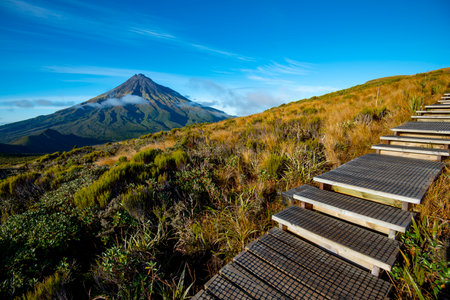 Wooden walkway leading to a mountainの写真素材