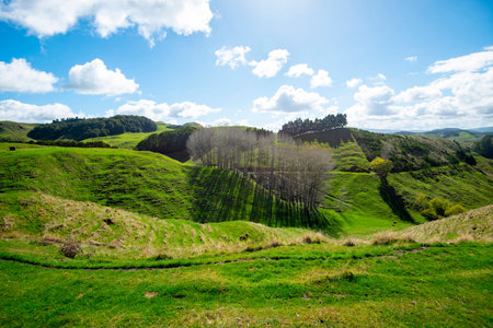 Landscape of the vineyards in the Azores, Portugal.の写真素材