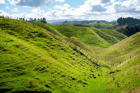Beautiful landscape of green hills in South Island, New Zealand.