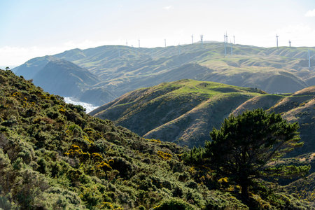 Windmills for electric power production, Santa Cruz, California.