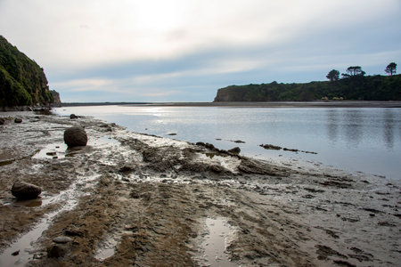 Landscape view of a beach in the evening at low tide.の写真素材