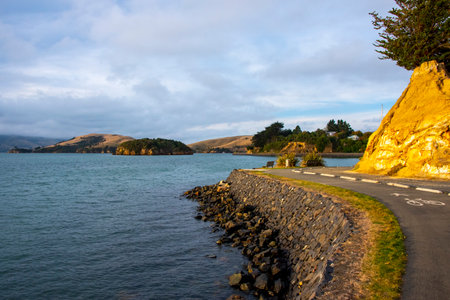 Beautiful seascape with a road in the middleの写真素材