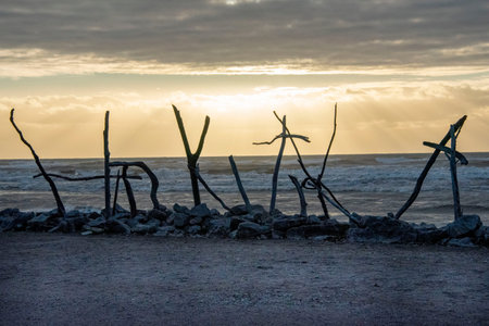 Sunset on the beach with driftwood in the foreground and a cloudy sky