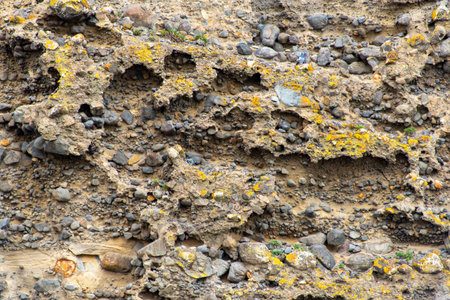Conglomerate Rock Cliff - New Zealand