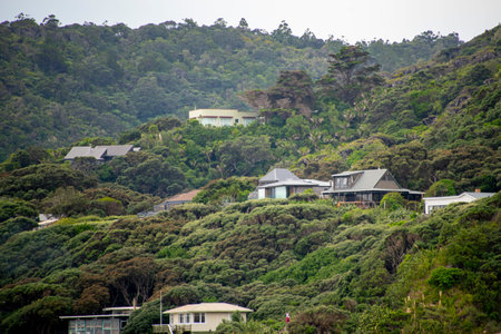 Residential Houses in Piha - New Zealand