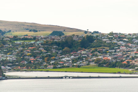 Residential Houses in Dunedin - New Zealandの写真素材
