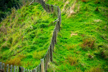 Sheep Pasture in Manawatu-Whanganui Region - New Zealandの写真素材