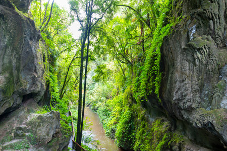 Mangapohue Limestone Gorge - New Zealandの写真素材