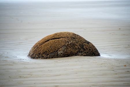Moeraki Boulders Beach - New Zealandの写真素材