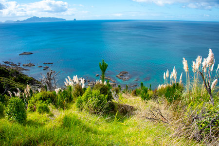 Mangawhai Cliff Walk - New Zealandの写真素材