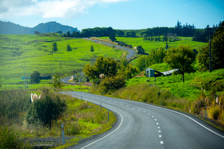 New Zealand State Highway 12 (Twin Coast Discovery Highway)の写真素材
