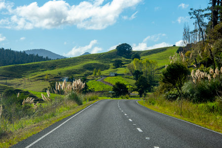 New Zealand State Highway 12 (Twin Coast Discovery Highway)の写真素材