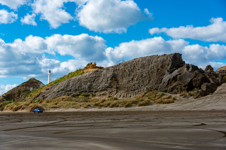 Castlepoint Reef - New Zealandの写真素材
