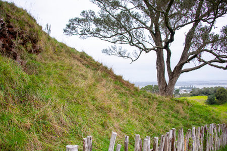 One Tree Hill - Auckland - New Zealandの写真素材
