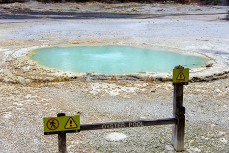 Oyster Pool in Waiotapu Thermal Wonderland - New Zealandの写真素材