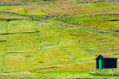 Sheep Pasture in Faroe Islandsの写真素材