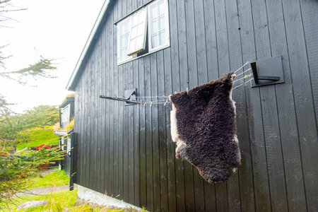 Faroese Sheepskin Drying - Faroe Islandsの写真素材
