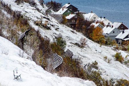 Snow Bridges for Avalanche Control