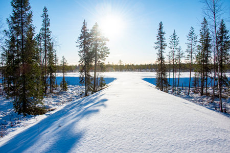 Snowy Season in Lapland - Swedenの写真素材