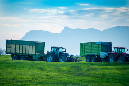Forage Wagons in Agricultural Field