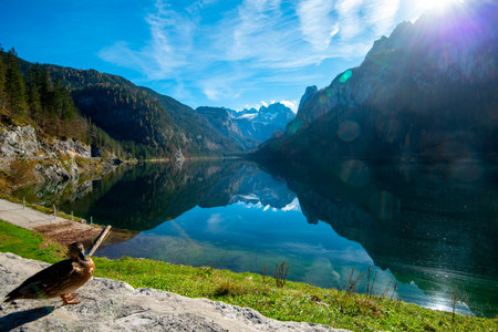 Lake Vorderer Gosau - Austria