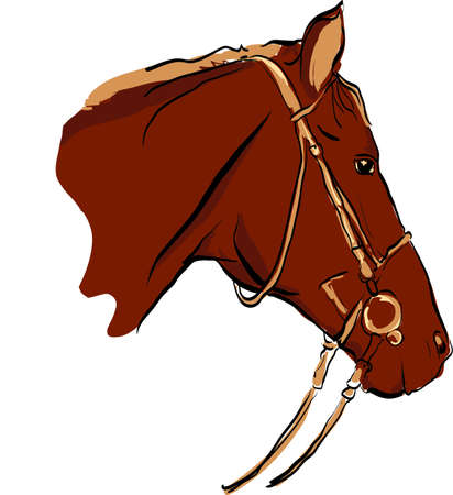 horseのイラスト素材