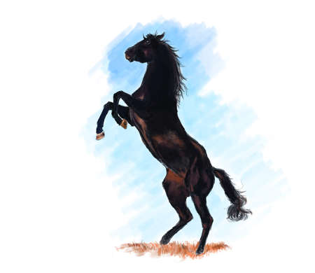 Horseのイラスト素材