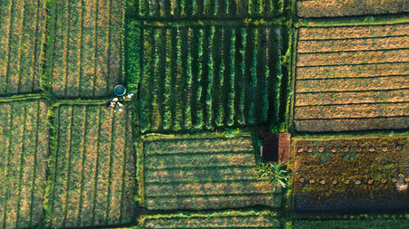 Aerial view, a village covered in a sea of â€‹â€‹mist in the morning with a view of the...
