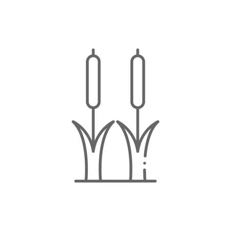 Reeds plant outline icon. linear style sign for mobile concept and web design. Cattail simple line vector icon. Symbol, logo illustration. Pixel perfect vector graphicsのイラスト素材