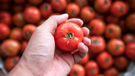 Organic fresh harvested vegetables. Man hands holding fresh carrots, closeup.
