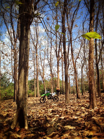 Kawasaki Motorcycleの素材