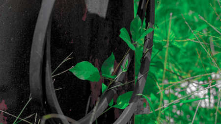 A closeup shot of green leaves on a metal surface with a blurred backgroundの写真素材