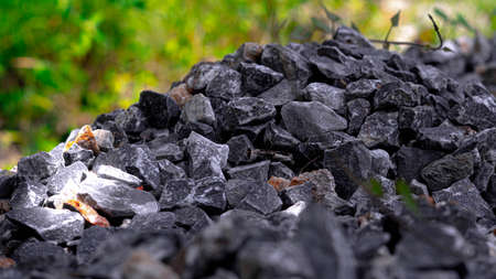 Coal mining in the forest. Close-up of a pile of coal.の写真素材