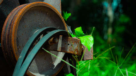 Close up of a rusty metal pipe with a green plant in the backgroundの写真素材