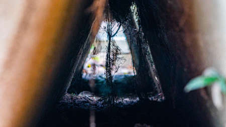 A low angle shot of a cave in the middle of the forestの写真素材
