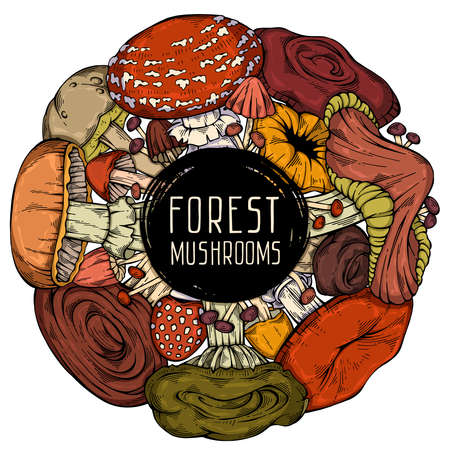 Colorful hand-drawn forest wild collection of assorted mushrooms. Circular cute frame. Can be used for menu design, recipe, label, icon, recipe, packaging, web. Cartoon style. Botanical drawingのイラスト素材