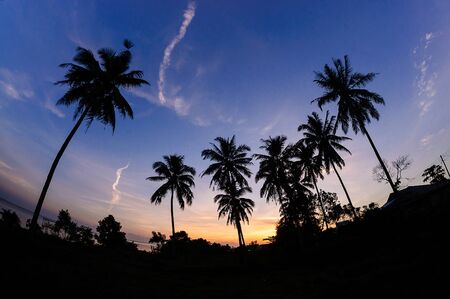 Peaceful Morningの写真素材