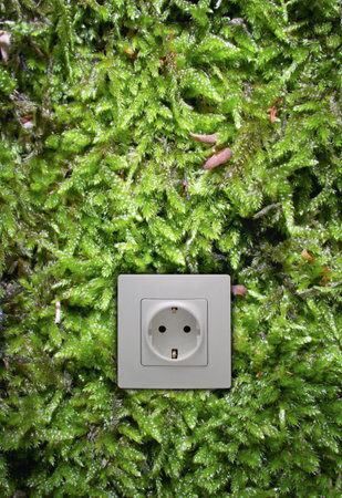 Ecological concept, symbolizing renewable energy, bio energyの写真素材