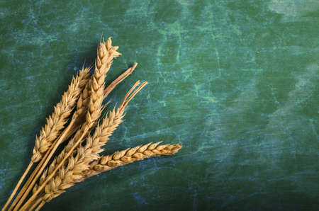 Wheat Ears on Table. Sheaf of Wheat over Wood Background. Harvest concept.の写真素材
