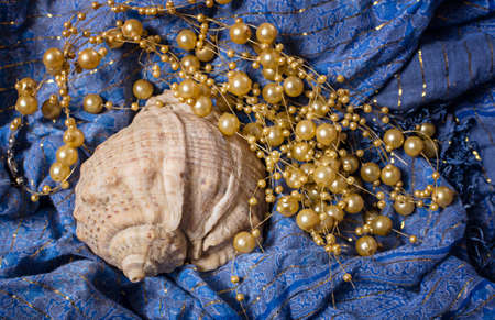 The shell with a pearl beads lies on blue backgroundの写真素材