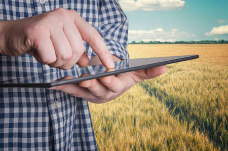 Agronomist holds tablet touch pad computer in the wheat field and examining crops before harvesting. Agribusiness concept.の写真素材