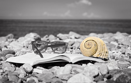 Seashell lies on top of the open book on the beach. Selective focus. Vacation concept.の写真素材