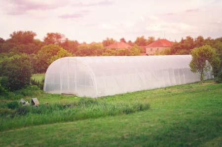 Plastic greenhouse for vegetable cultivationの写真素材