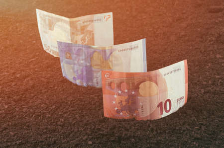 Money growth. Euro banknote growing from soil.の写真素材