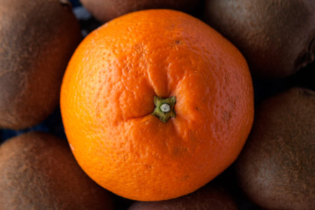 Round fruit composition made of exotic fruits: orange and kiwis