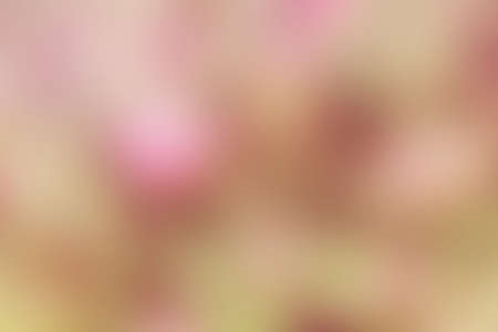 Abstract colorful blur background for web design. Wallpaperの写真素材