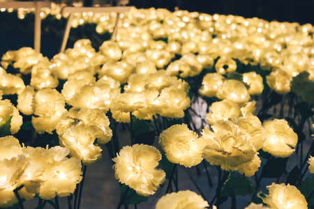 Yellow LED flowers for celebrating Christmas festival.の写真素材