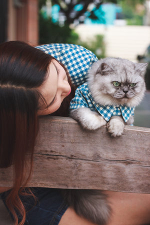 Close up of young Asian woman playing with her persian cat, human-animal relationships.の写真素材